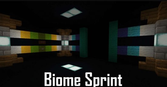 Перейти в новость Карта Biome Sprint 1.16.5/1.15.2 (Паркур)