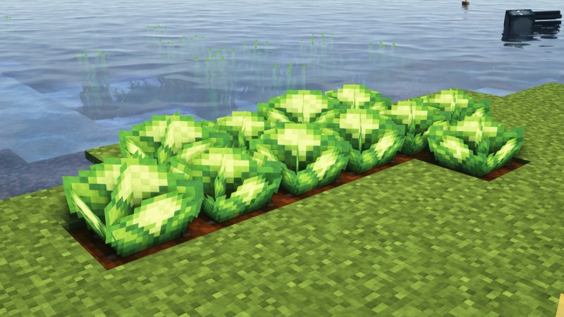 (Bee's) Fancy Crops 1.21.11/1.20.6 (Улучшенные фермерские текстуры 16x) | Сегодня, 11:18 - Текстуры для Minecraft / 1.15 / 1.15.1 / 1.15.2 / Текстуры 16x / Стандартные  / 1.16 / 1.16.1 / 1.16.2 / 1.16.3 / 1.16.4 / 1.17 / 1.16.5 / 1.17.1 / 1.18 / 1.18.1 / 1.18.2 / 1.19 / 1.19.1 / 1.19.2 / 1.19.3 / 1.19.4 / 1.20.1 / 1.21.11 / 1.21.10 / 1.21.8 / 1.21.5 / 1.21.4 / 1.21.1 / 1.20.6 / 1.20.5 / 1.20.4 / 1.20.3 / 1.20.2