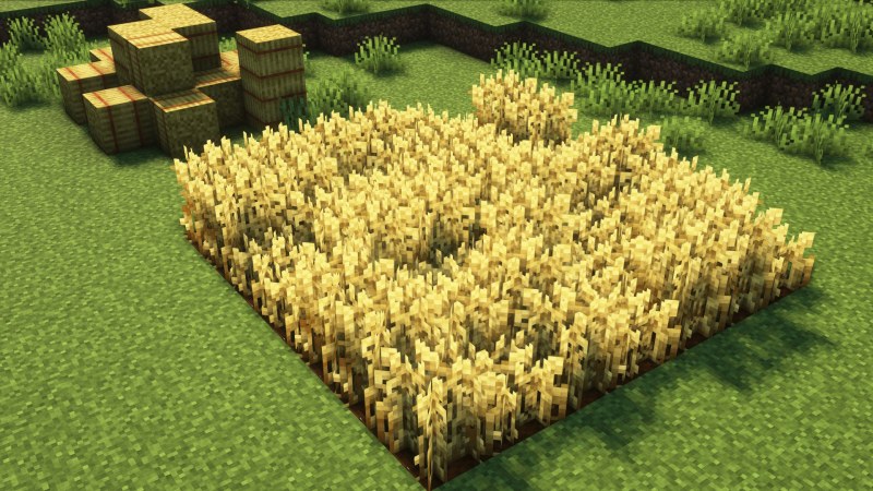 (Bee's) Fancy Crops 1.21.11/1.20.6 (Улучшенные фермерские текстуры 16x) | Сегодня, 11:18 - Текстуры для Minecraft / 1.15 / 1.15.1 / 1.15.2 / Текстуры 16x / Стандартные  / 1.16 / 1.16.1 / 1.16.2 / 1.16.3 / 1.16.4 / 1.17 / 1.16.5 / 1.17.1 / 1.18 / 1.18.1 / 1.18.2 / 1.19 / 1.19.1 / 1.19.2 / 1.19.3 / 1.19.4 / 1.20.1 / 1.21.11 / 1.21.10 / 1.21.8 / 1.21.5 / 1.21.4 / 1.21.1 / 1.20.6 / 1.20.5 / 1.20.4 / 1.20.3 / 1.20.2