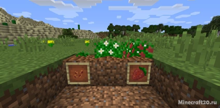 Мод Simply Strawberries [1.12.2] (Клубника)