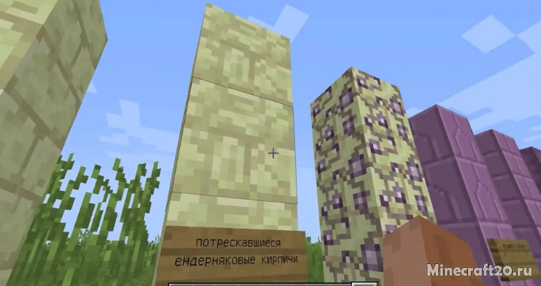 Где найти эндерняк в minecraft