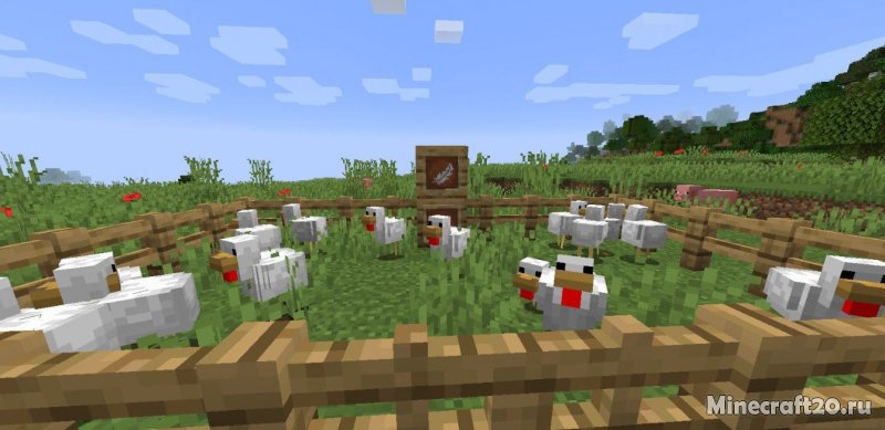 Chickens мод. Chickens Mod майнкрафт 1.16.5. Мод на Чикен версия 4.0.0. Мод на перо и чернильница в майнкрафт 1.17.