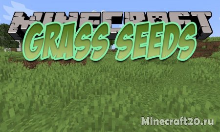 Мод Grass Seeds 1.19.2/1.18.2 (Превращаем землю в траву)