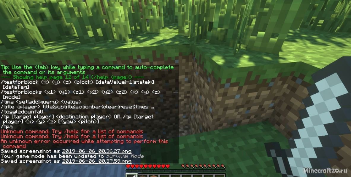 Мод Totem Essentials 1.12.2/1.11.2 (Множество команд)