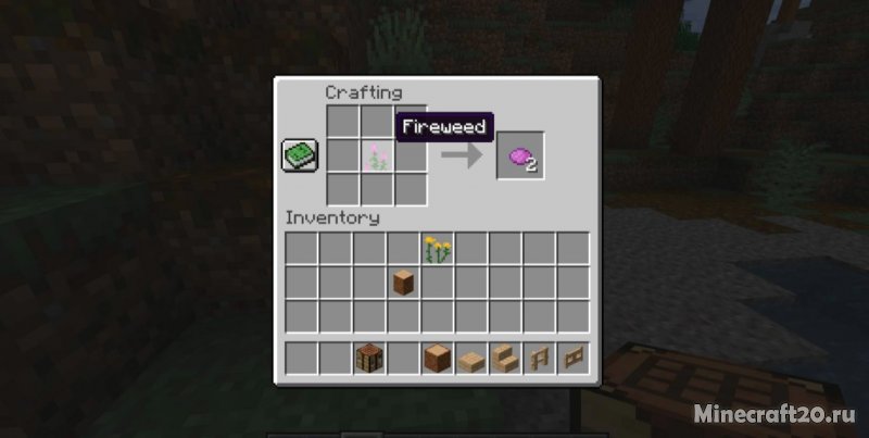 Мод Woods and Mires 1.20.1/1.19.4 (Необычные биомы)