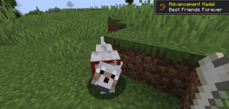 Мод Save Your Pets 1.20.1/1.19.4 (Спаси животных)