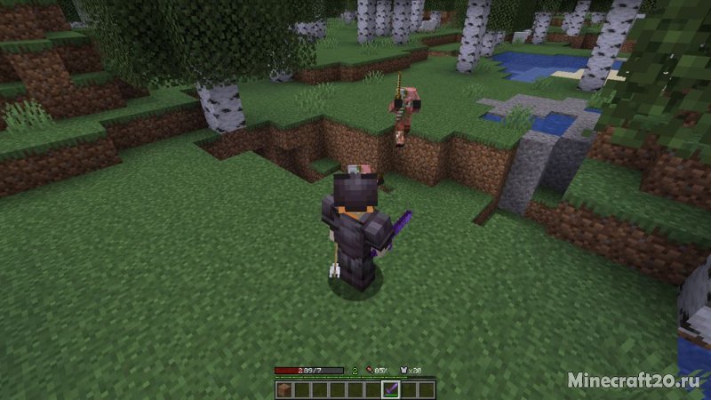 Мод Player Ex 1.18.1/1.17.1 (Статистика развития игрока)