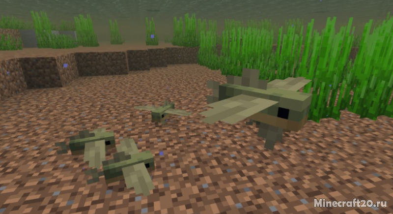 Мод Fins and Tails 1.16.5 (Океанские обитатели)