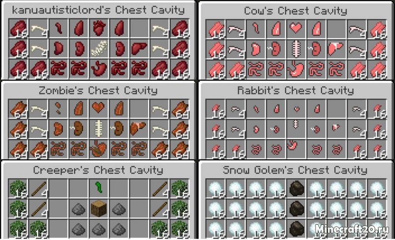 Мод Chest Cavity 1.19.2/1.18.2 (Органы в Майнкрафт) | 15-09-2022, 16:21 - Моды для Minecraft / Fabric / Сундуки и рюкзаки / 1.19.2 / 1.19.1 / 1.19 / 1.18.2 / 1.18.1 / 1.18 / 1.17.1 / 1.16.5 / 1.16.4