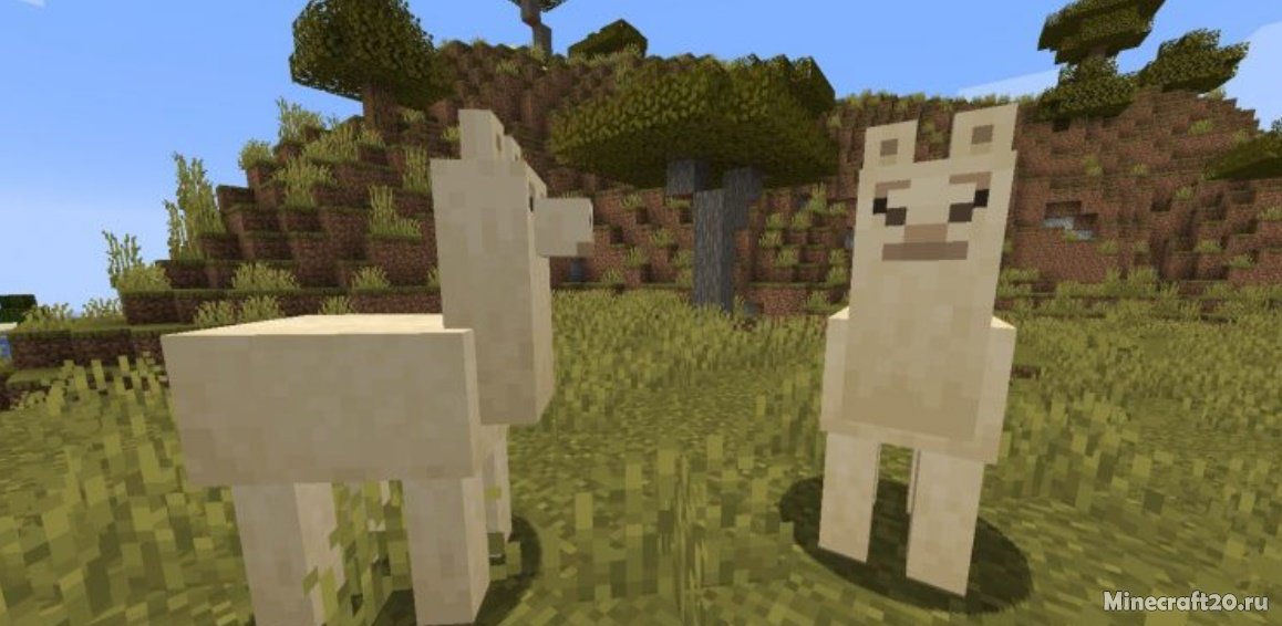 Мод Llama Steeds 1.16.5/1.15.2 (Ездим на ламах) | 14-05-2021, 17:58 - Моды для Minecraft / Fabric / Мобы / 1.16.5 / 1.16.1  / 1.15.2 / 1.14.4