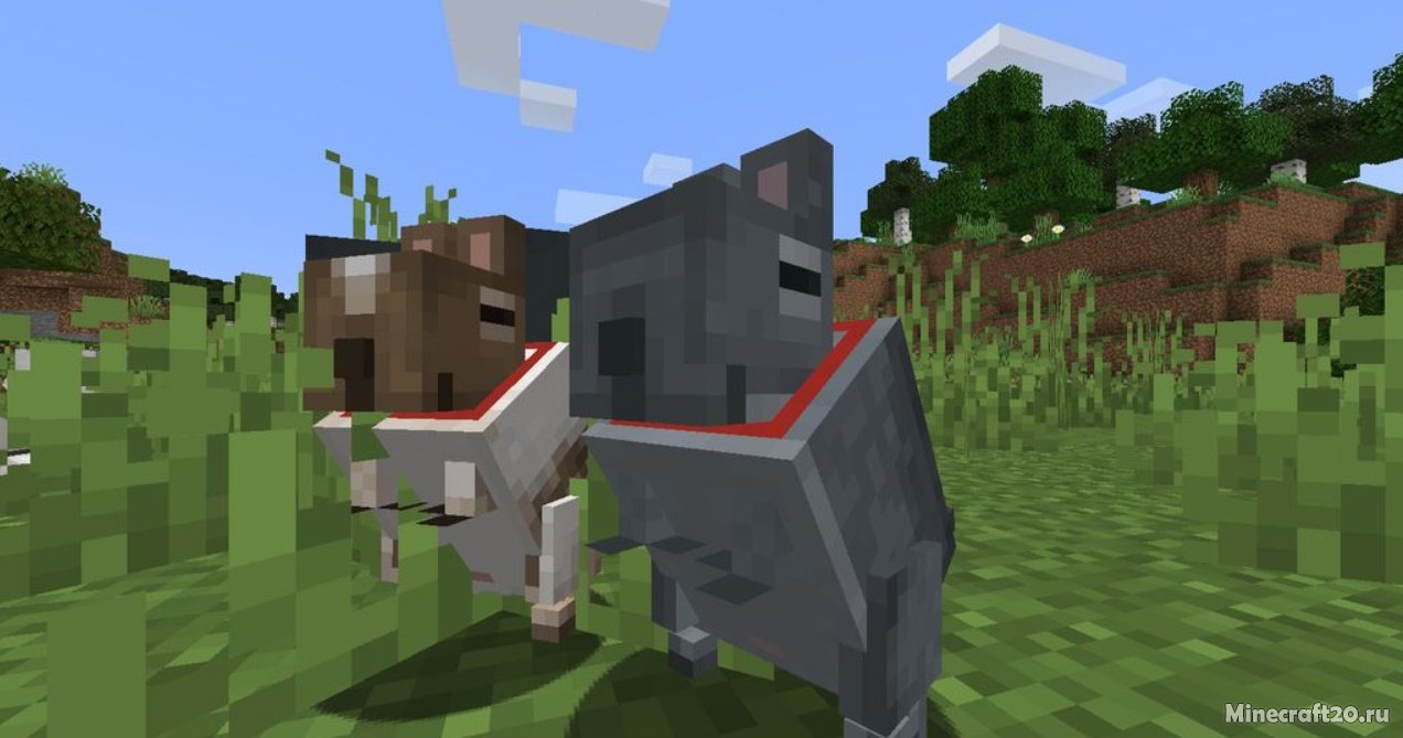 Мод Vanilla Degus 1.20.6/1.19.4 (Маленький компаньон) | 7-05-2024, 15:14 - Моды для Minecraft / Fabric / Мобы / 1.20.6 / 1.20.1 / 1.20 / 1.19.4 / 1.19.3 / 1.19.2 / 1.19.1 / 1.19 / 1.18.2 / 1.18.1 / 1.17.1 / 1.16.5