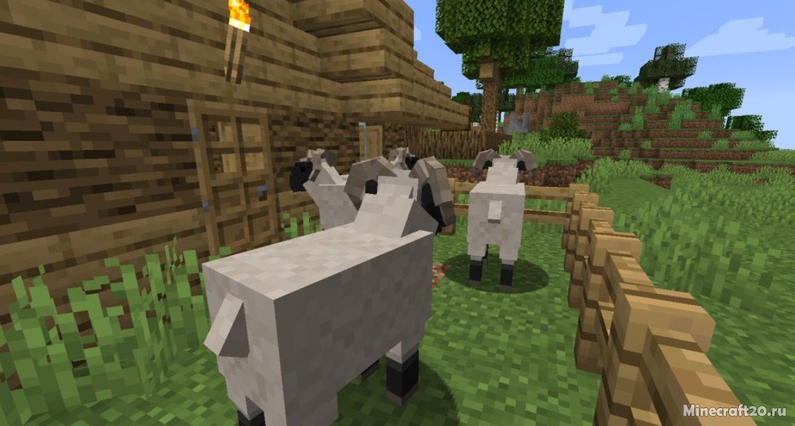 Мод Wild Farm 1.16.5 (Новые домашние животные) | 17-06-2021, 12:32 - Моды для Minecraft / Животные / Мобы / 1.16.5