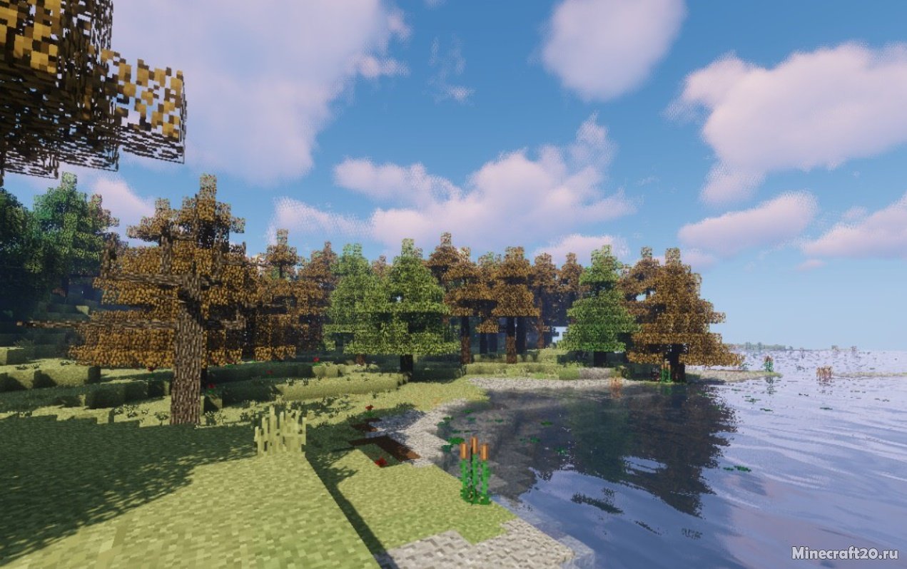 Мод Dynamic Trees Biomes O’ Plenty Compat 1.16.5/1.12.2 (Живые деревья) | 24-06-2021, 09:27 - Моды для Minecraft / Деревья и растения / 1.16.5 / 1.12.2