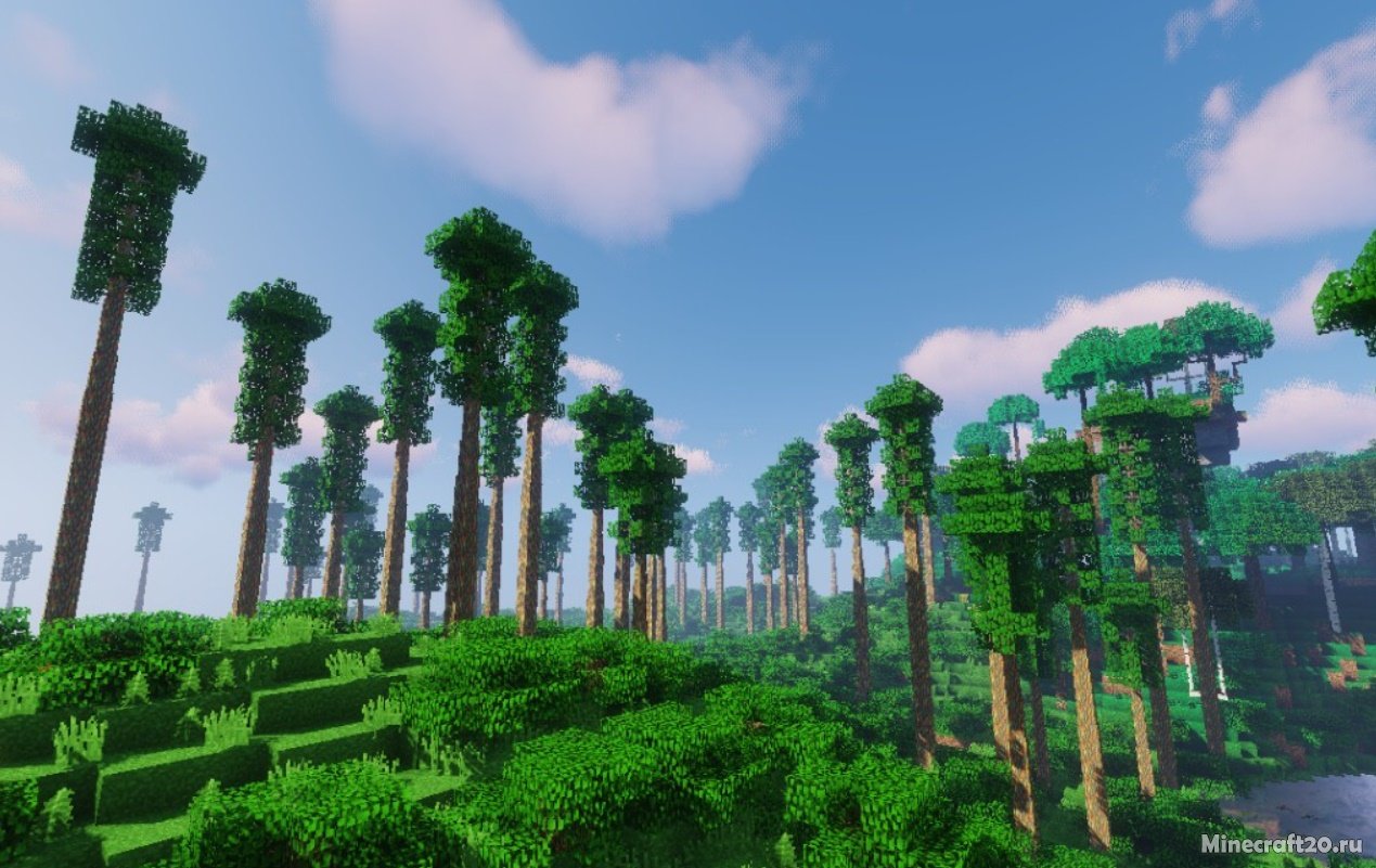 Мод Dynamic Trees Biomes O’ Plenty Compat 1.16.5/1.12.2 (Живые деревья) | 24-06-2021, 09:27 - Моды для Minecraft / Деревья и растения / 1.16.5 / 1.12.2