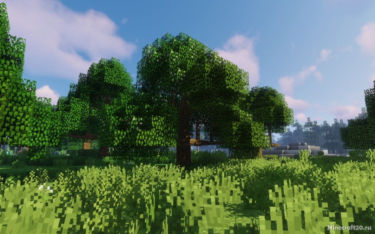 Мод Dynamic Trees Biomes O’ Plenty Compat 1.16.5/1.12.2 (Живые деревья) | 24-06-2021, 09:27 - Моды для Minecraft / Деревья и растения / 1.16.5 / 1.12.2