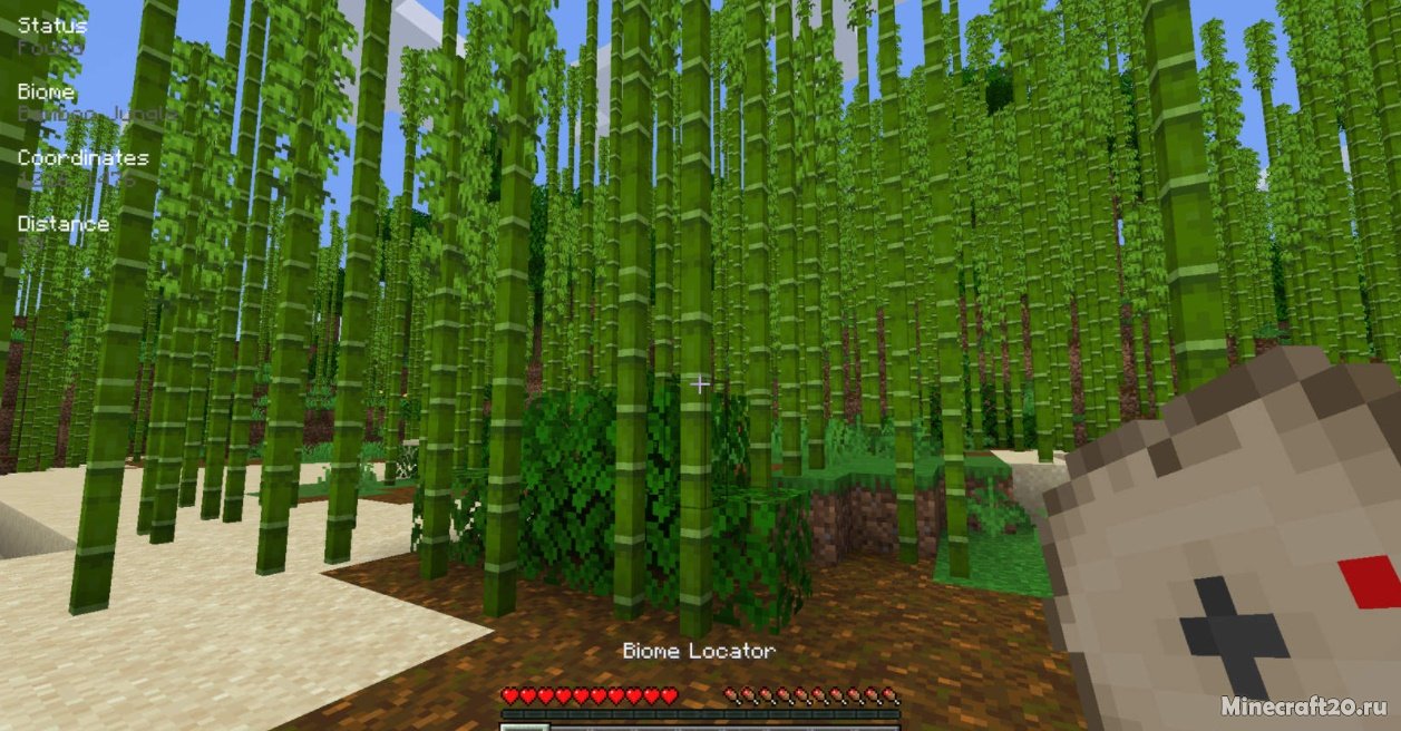 Мод Biome Locator 1.19/1.18.2 (Компас для биомов) | 20-07-2022, 12:38 - Моды для Minecraft / Fabric / Миры и биомы / 1.19 / 1.18.2 / 1.18.1 / 1.17.1 / 1.16.5