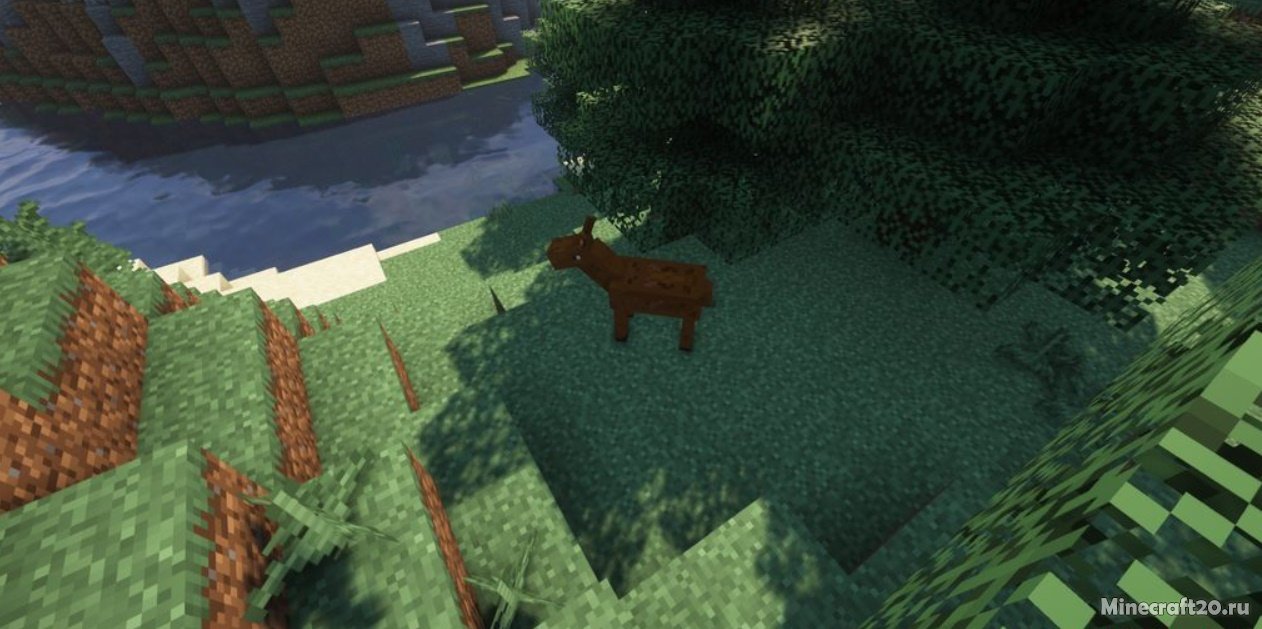 Мод Aardvark's Weird Wonderful Wild 1.16.5/1.15.2 (Новые уникальные мобы) | 6-09-2021, 17:56 - Моды для Minecraft / Мобы / 1.16.5 / 1.15.2