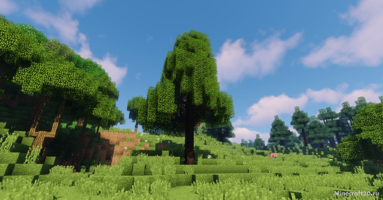 Мод Dynamic Trees Thaumcraft Compat 1.12.2 (Реалистичные деревья) | 6-10-2021, 12:03 - Моды для Minecraft / Деревья и растения / Реалистичность / 1.12.2