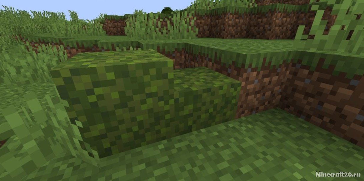 Мод Moss Layers 1.19.4/1.18.2 (Блоки покрываются мхом) | 20-05-2023, 11:42 - Моды для Minecraft / Fabric / Деревья и растения / Блоки / Декор / 1.19.4 / 1.19.3 / 1.19.2 / 1.19.1 / 1.18.2