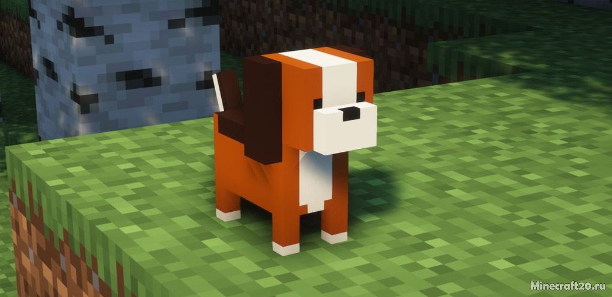 Мод Dog 1.16.5 (Новые варианты компаньона) | 26-03-2022, 10:34 - Моды для Minecraft / Животные / Мобы / 1.16.5