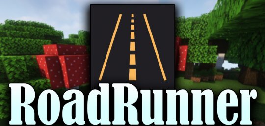 Мод RoadRunner 1.16.5 (Оптимизация Minecraft)