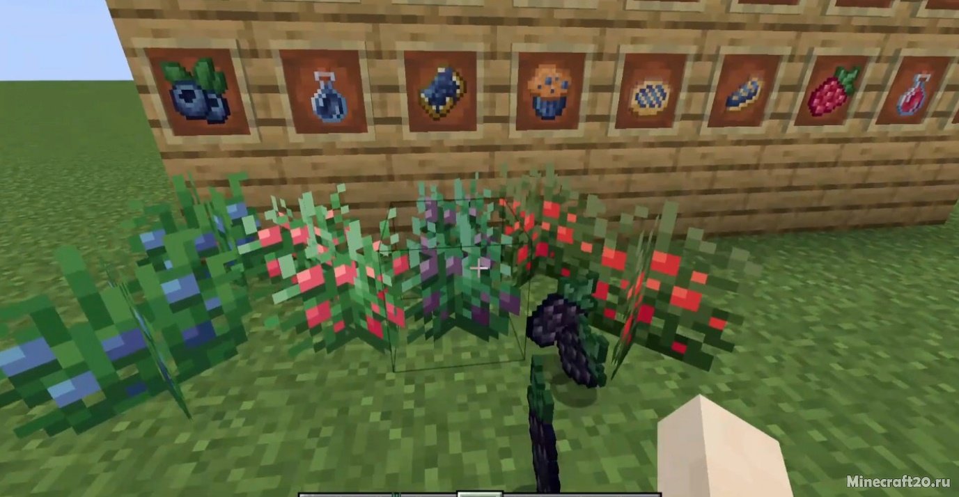 Мод Wildberries 1.18.2 (Продукты из ягод) | 1-06-2022, 20:42 - Моды для Minecraft / Еда / 1.18.2