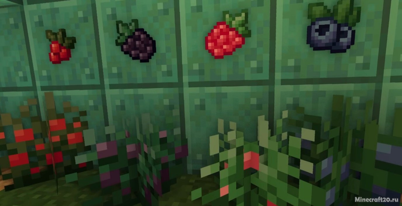 Мод Wildberries 1.18.2 (Продукты из ягод) | 1-06-2022, 20:42 - Моды для Minecraft / Еда / 1.18.2