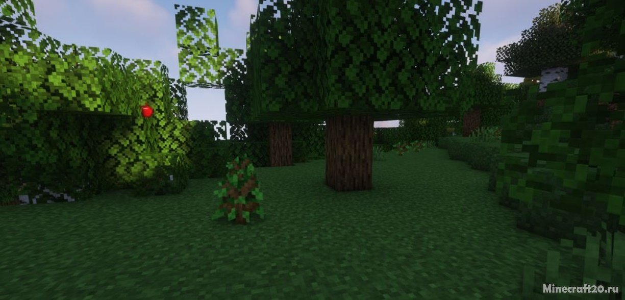 Мод Auto Planting Forests 1.20.1/1.19.4 (Посадка деревьев) | 29-11-2023, 19:56 - Моды для Minecraft / Деревья и растения / 1.20.2 / 1.20.1 / 1.20 / 1.19.4 / 1.19.3 / 1.19.2 / 1.19.1 / 1.19 / 1.18.2 / 1.18.1 / 1.16.5