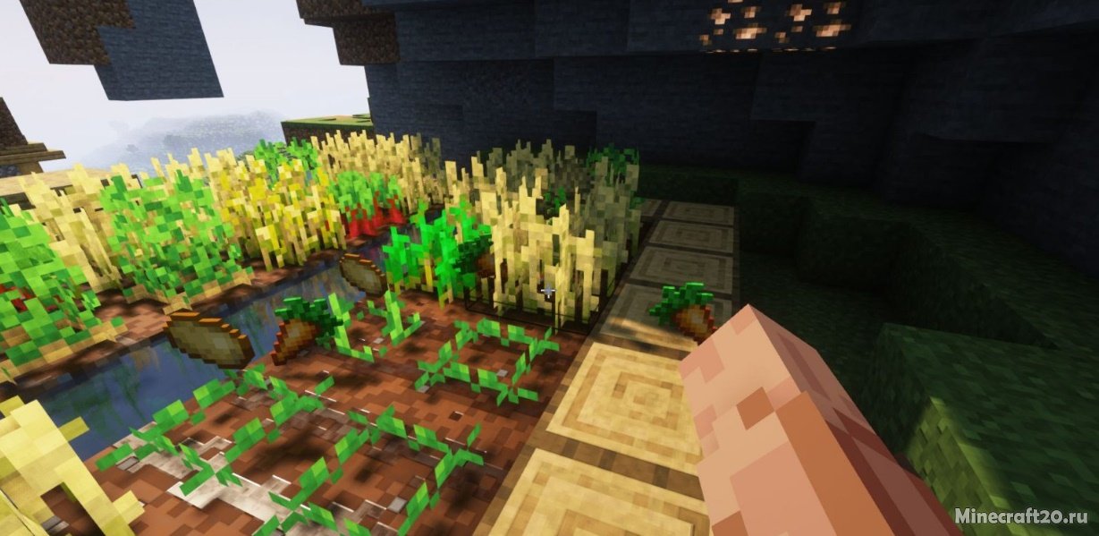 Мод Right-Click Harvest 1.20.2/1.19.4 (Легко собираем урожай) | 31-10-2023, 18:15 - Моды для Minecraft / Деревья и растения / 1.20.2 / 1.20.1 / 1.20 / 1.19.4 / 1.19.2 / 1.19.1 / 1.19 / 1.18.2 / 1.17.1 / 1.16.5