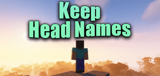 Перейти в новость Мод Keep Head Names 1.19.4/1.18.2 (Cохранение отображаемых имен)