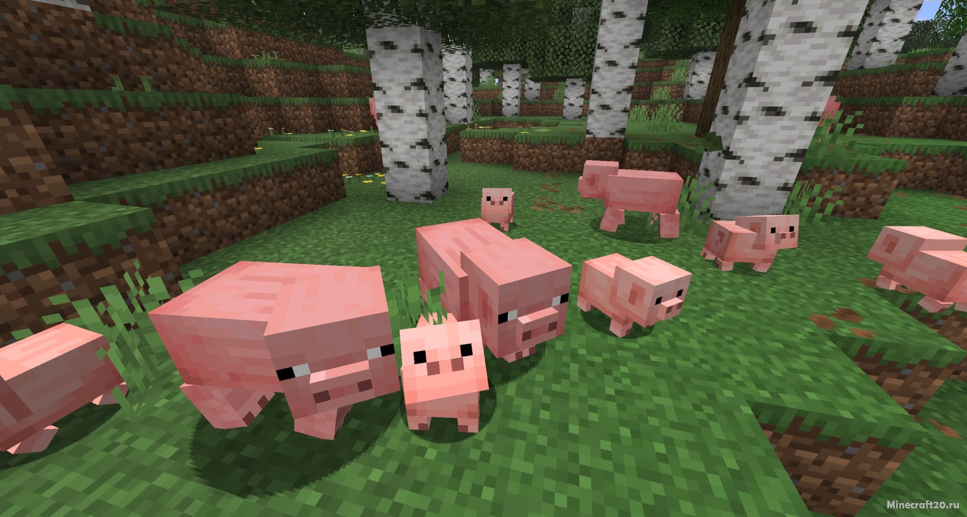 Скачать Майнкрафт 26.1 (Крошечный захват) | Сегодня, 16:15 - Скачать Minecraft