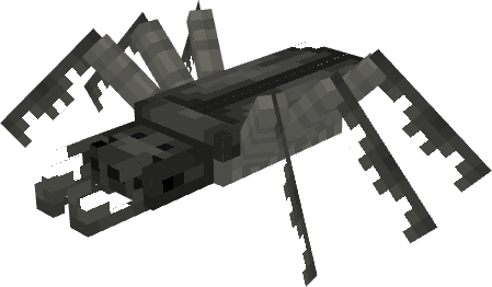 A small grey-brown bug