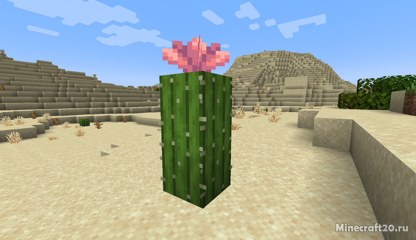 Скачать Майнкрафт 1.21.5 | Сегодня, 16:54 - Скачать Minecraft