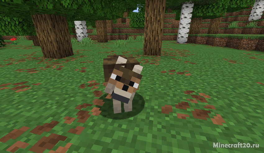 Скачать Майнкрафт 1.21.5 | Сегодня, 16:54 - Скачать Minecraft