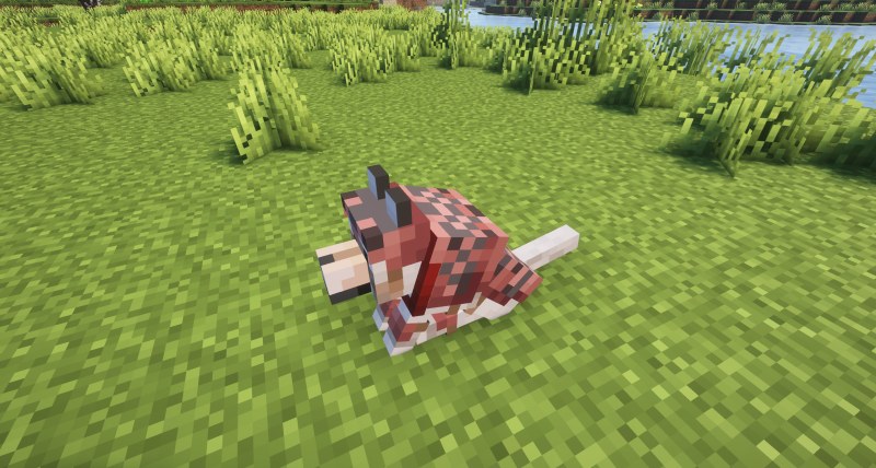 Мод Animal Armor Trims - Horse & Wolf 26.1.2/1.21.1 (трим для брони лошадей) | Сегодня, 00:04 - Моды для Minecraft / Оружие / Мобы / RPG / 1.20 / 1.20.1 / 1.20.2 / 1.20.4 / 1.20.6 / 1.21 / 1.21.1 / 26.1 / 26.1.1 / 26.1.2
