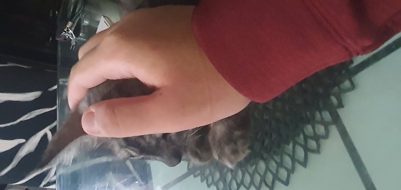 Мод Born In Configuration 1.21.1/1.20.1 (конфигурация, настройки, дополнение) | Сегодня, 13:41 - Моды для Minecraft / Мобы / Инструменты / 1.20.1 / 1.21.1