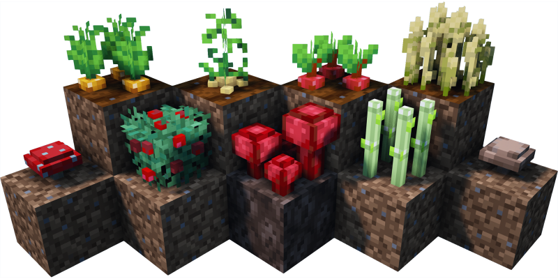 3D Crops