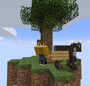 A SkyBlock Starter Island