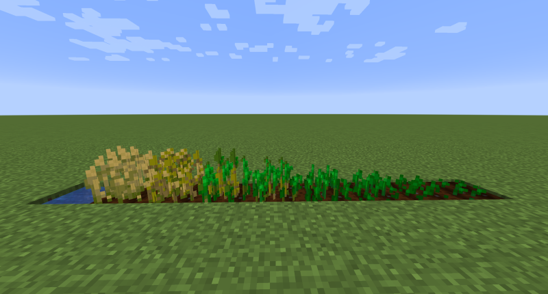 Crops 3D 1.19.3/1.18.2 (3D, растения, фермерство, ванильный 16x) | Вчера, 15:34 - Текстуры для Minecraft / 1.13 / 1.13.1 / 1.13.2 / 1.14 / 1.14.2 / 1.14.3 / 1.14.4 / 1.15 / 1.15.1 / 1.15.2 / Текстуры 16x / Стандартные  / 1.16 / 1.16.1 / 1.16.2 / 1.16.4 / 1.17 / 1.16.5 / 1.17.1 / 1.18 / 1.18.1 / 1.18.2 / 1.19 / 1.19.1 / 1.19.2 / 1.19.3