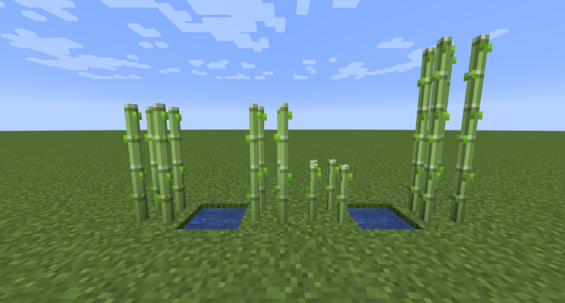 Crops 3D 1.19.3/1.18.2 (3D, растения, фермерство, ванильный 16x) | Вчера, 15:34 - Текстуры для Minecraft / 1.13 / 1.13.1 / 1.13.2 / 1.14 / 1.14.2 / 1.14.3 / 1.14.4 / 1.15 / 1.15.1 / 1.15.2 / Текстуры 16x / Стандартные  / 1.16 / 1.16.1 / 1.16.2 / 1.16.4 / 1.17 / 1.16.5 / 1.17.1 / 1.18 / 1.18.1 / 1.18.2 / 1.19 / 1.19.1 / 1.19.2 / 1.19.3