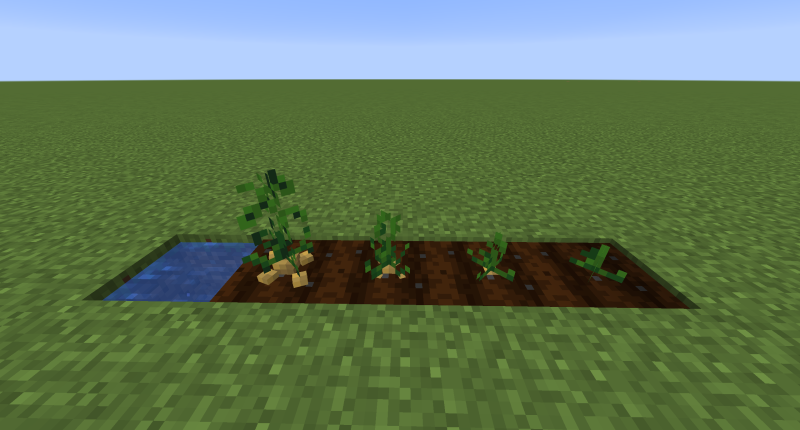 Crops 3D 1.19.3/1.18.2 (3D, растения, фермерство, ванильный 16x) | Вчера, 15:34 - Текстуры для Minecraft / 1.13 / 1.13.1 / 1.13.2 / 1.14 / 1.14.2 / 1.14.3 / 1.14.4 / 1.15 / 1.15.1 / 1.15.2 / Текстуры 16x / Стандартные  / 1.16 / 1.16.1 / 1.16.2 / 1.16.4 / 1.17 / 1.16.5 / 1.17.1 / 1.18 / 1.18.1 / 1.18.2 / 1.19 / 1.19.1 / 1.19.2 / 1.19.3