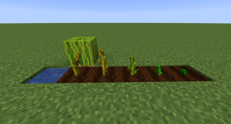 Crops 3D 1.19.3/1.18.2 (3D, растения, фермерство, ванильный 16x) | Вчера, 15:34 - Текстуры для Minecraft / 1.13 / 1.13.1 / 1.13.2 / 1.14 / 1.14.2 / 1.14.3 / 1.14.4 / 1.15 / 1.15.1 / 1.15.2 / Текстуры 16x / Стандартные  / 1.16 / 1.16.1 / 1.16.2 / 1.16.4 / 1.17 / 1.16.5 / 1.17.1 / 1.18 / 1.18.1 / 1.18.2 / 1.19 / 1.19.1 / 1.19.2 / 1.19.3