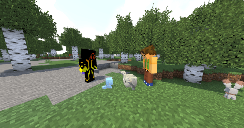 Radical Cobblemon Trainer Textures Plus (тренерские скины, покемоны 16x) | 29-05-2026, 23:32 - Текстуры для Minecraft / Текстуры 16x