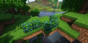 Сборка Buckthorn 1.16.5 (ванильная оптимизированная сборка на Fabric) | 29-05-2026, 12:38 - Сборки с модами / Для слабых ПК / 1.16.x