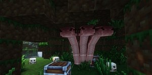 Сборка Curse Of The 7 Seas 1.16.5 (пиратская RPG с кораблями и квестами) | 29-05-2026, 14:22 - Сборки с модами / Для слабых ПК / 1.16.x