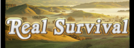 Сборка Real Survival by Allman 1.12.2 (реалистичное выживание с технологиями)