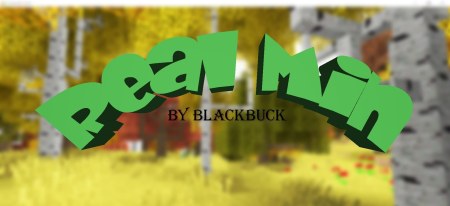 Сборка RealMin 1.12.2 (реалистичное выживание)