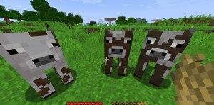 Сборка Survival+ - Расширенная ванилла 1.16.5 | 29-05-2026, 12:33 - Сборки с модами / Индустриальные / 1.16.x