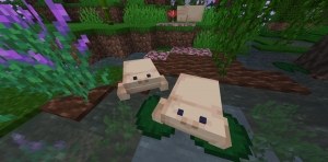 Сборка Survival+ - Расширенная ванилла 1.16.5 | 29-05-2026, 12:33 - Сборки с модами / Индустриальные / 1.16.x