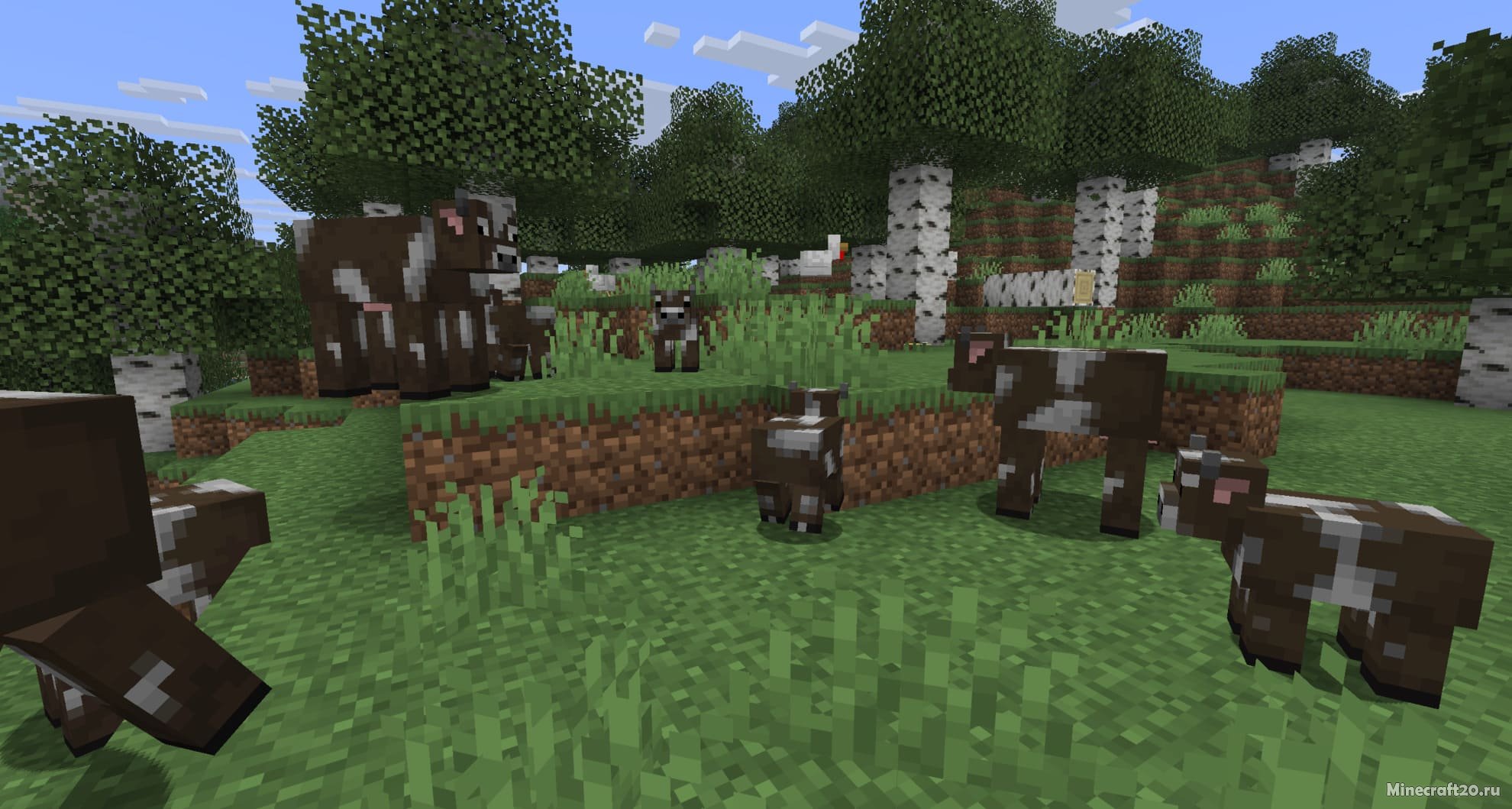 Скачать Майнкрафт 26.2 (Хаос в кубе) [Java Edition] | Сегодня, 15:31 - Скачать Minecraft